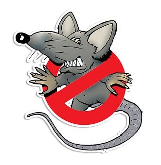 Mort aux rats interdite
