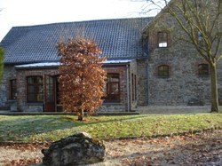 image_large12.jpg