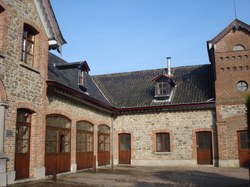 image_large2.jpg