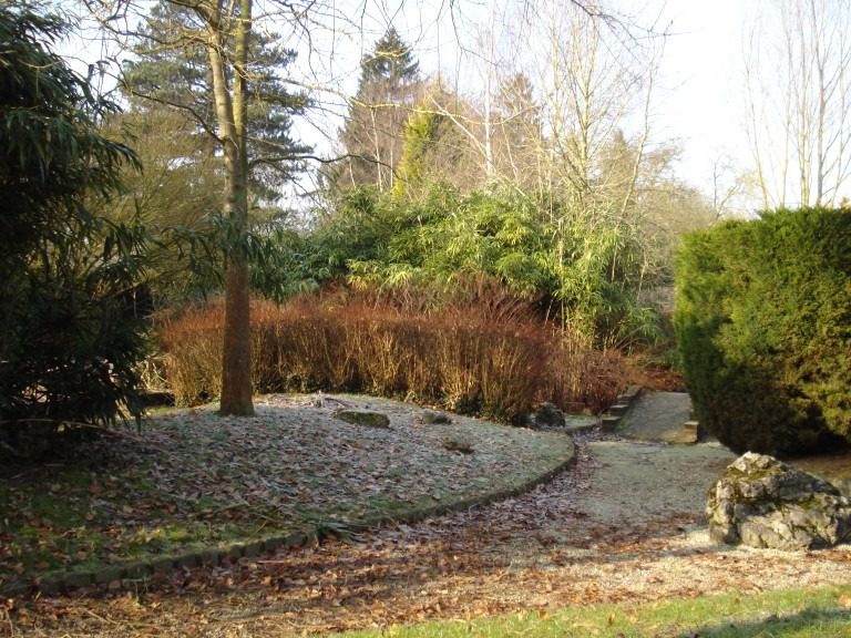 image_large6.jpg