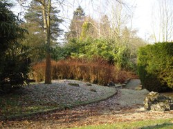 image_large6.jpg
